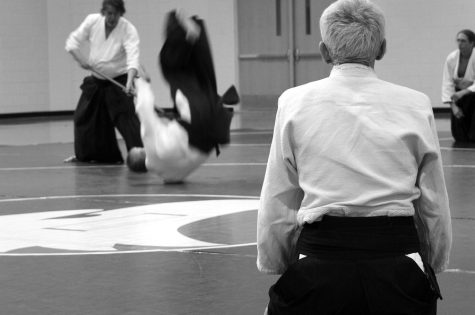 aikido-362951_1280